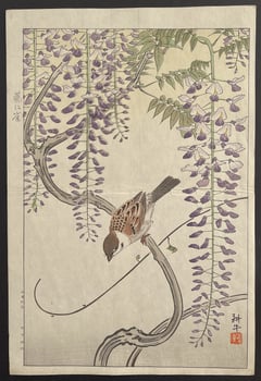 Sparrow and Wisteria