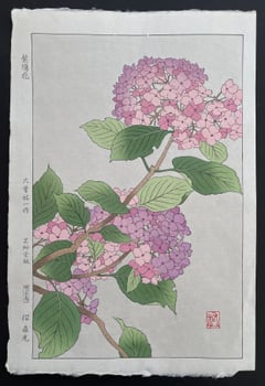 Hydrangea (Pink)