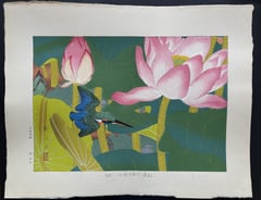 Crimson Lotus and Kingfisher (Mid Summer) 