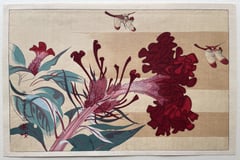 Dragonflies and Flowers (Lifetime)