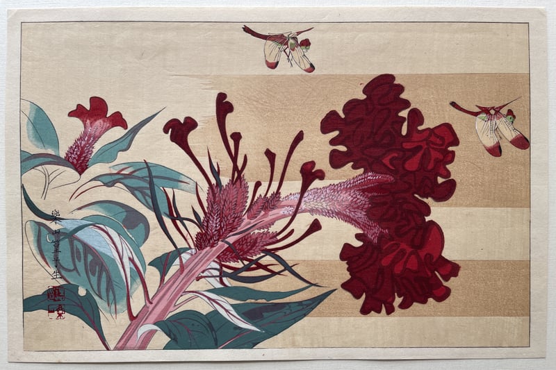 Dragonflies and Flowers (Lifetime) by Rakusan Tsuchiya