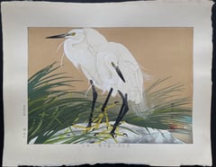 Sweet Flag Flowers and Straw-raincloaked Little Egrets (Winter Division)