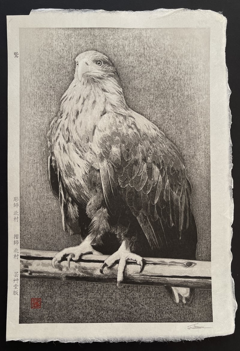 Eagle by Shoichi Kitamura