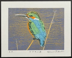 Kingfisher III