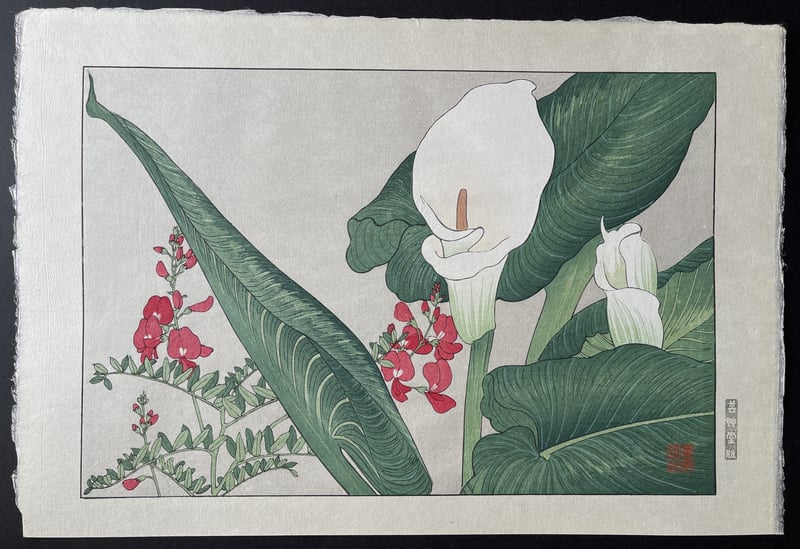Calla lily by Tanigami Konan