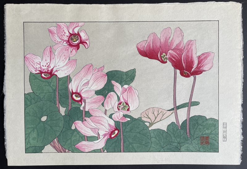 Cyclamen by Tanigami Konan