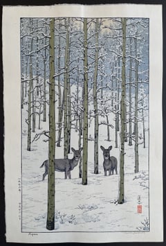 Aspen (Signed)