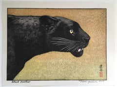 Black Panther (Heisei)