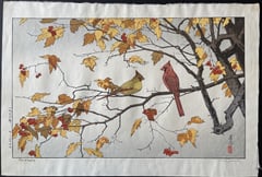 Cardinals (Heisei)