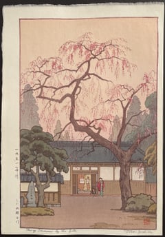 Cherry blossom by the gate