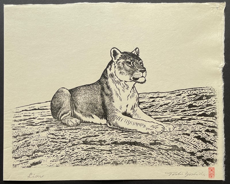 Lion (female B) (Heisei) by Toshi Yoshida