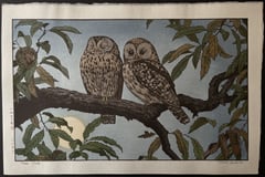 Owls (Heisei)