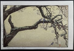 Plum Tree & Blue Magpie