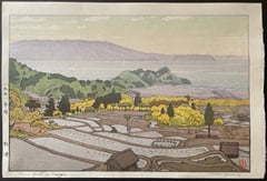 Rice Field in Suizu