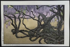 Wisteria at Ushijima