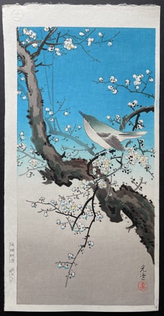 Bush Warbler (Mitsugiri) (Seki)