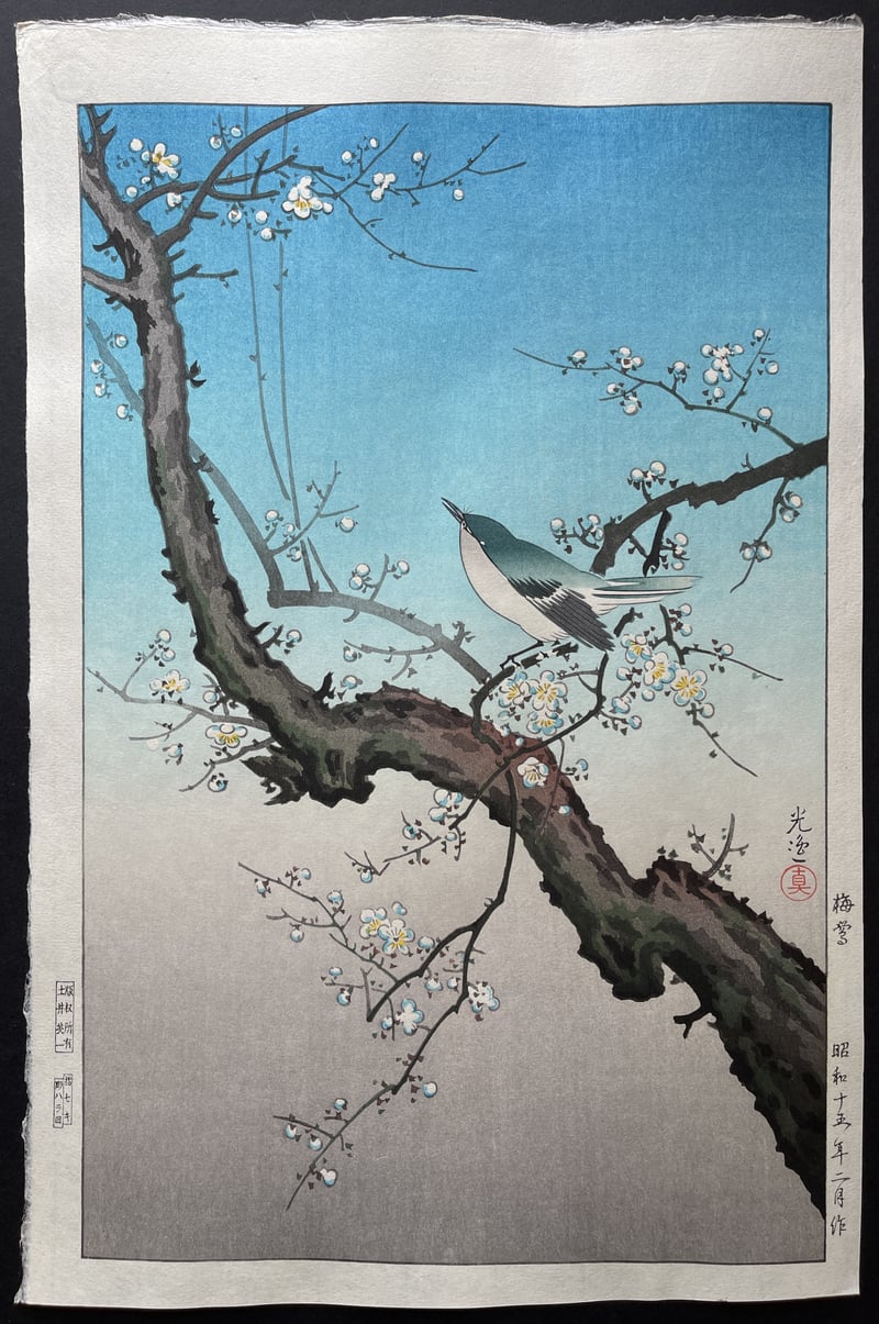 Bush Warbler (Oban) (Seki) by Tsuchiya Koitsu