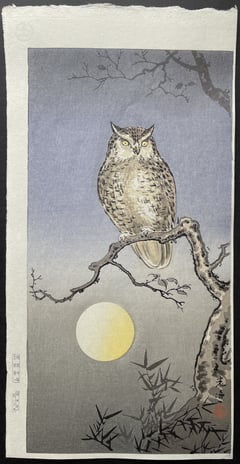 Owl