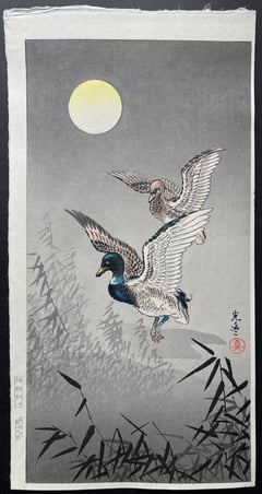 Wild Duck (Mitsugiri) (Seki)