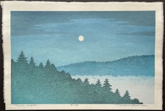 Forest Night