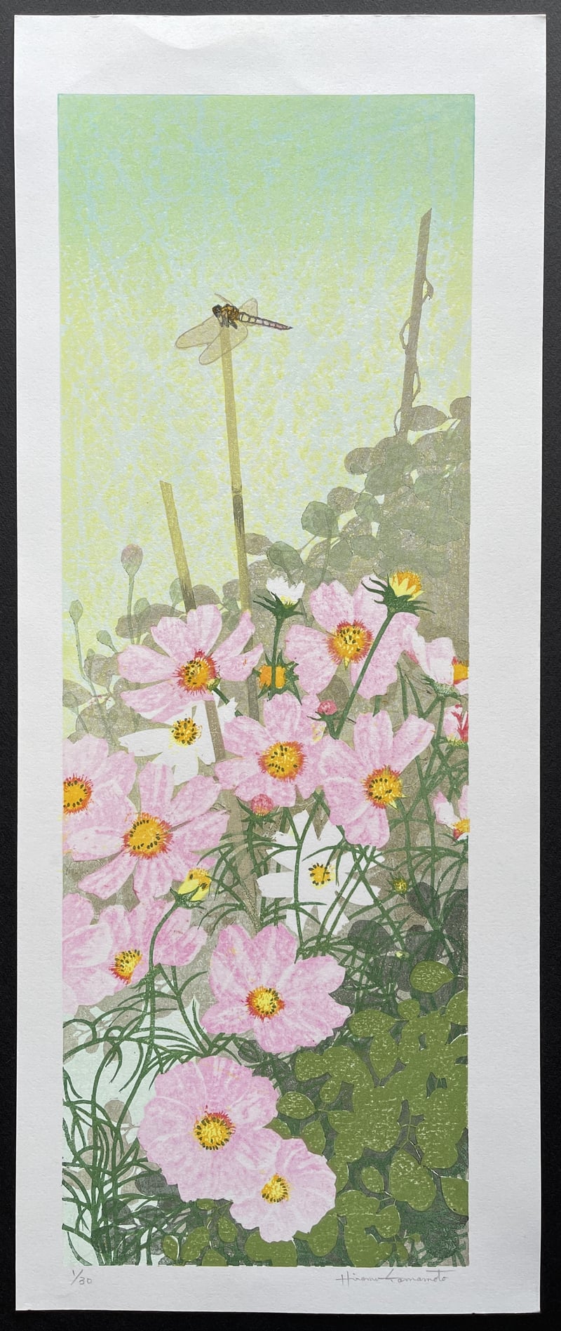 Poppy by Yamamoto Hiromu