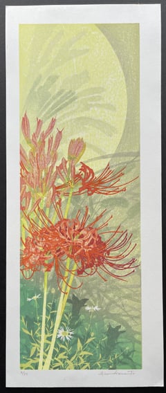Red Spider Lily